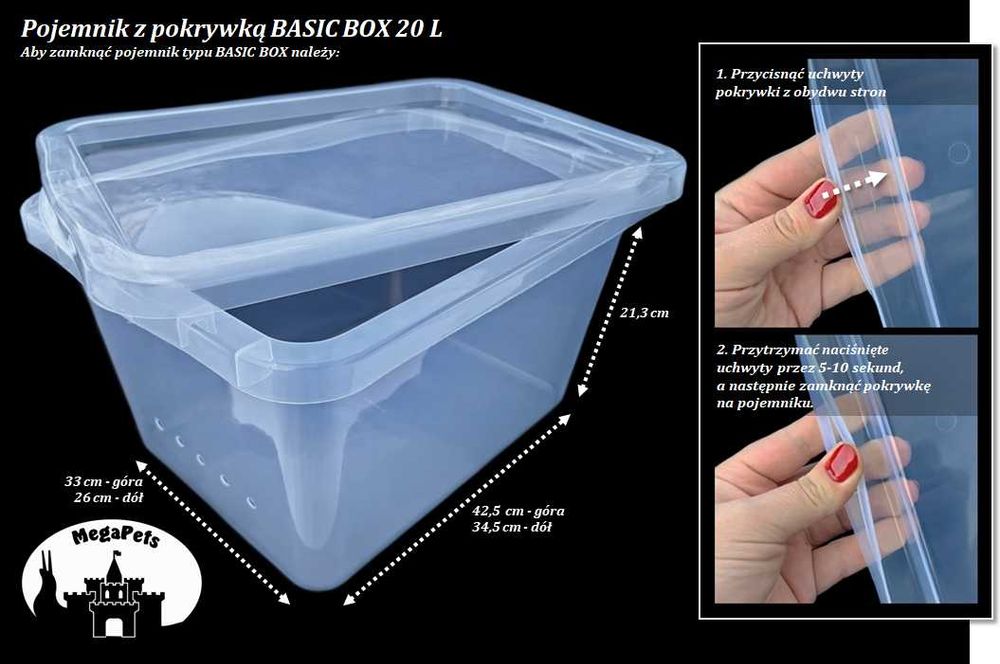 Komplet startowy 20L Ślimaki afrykańskie Lissachatina Archachatina