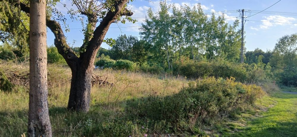 Działka 1409m² z warunkami zabudowy