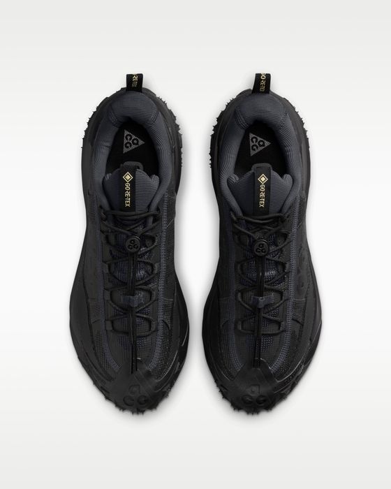 Nike ACG Mountain Fly 2 Low GORE-TEX