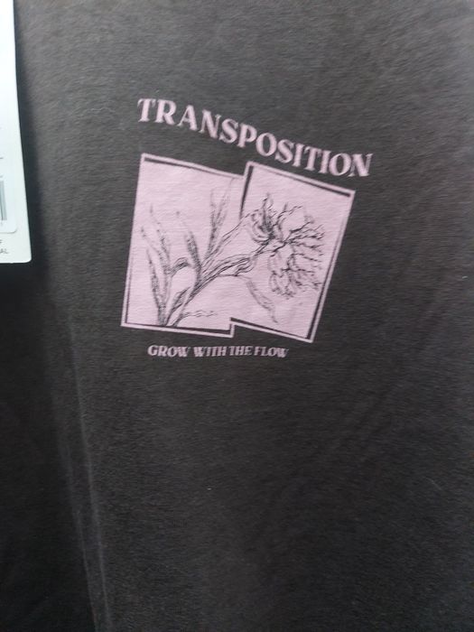 T -shirt  męski brązowy Xl