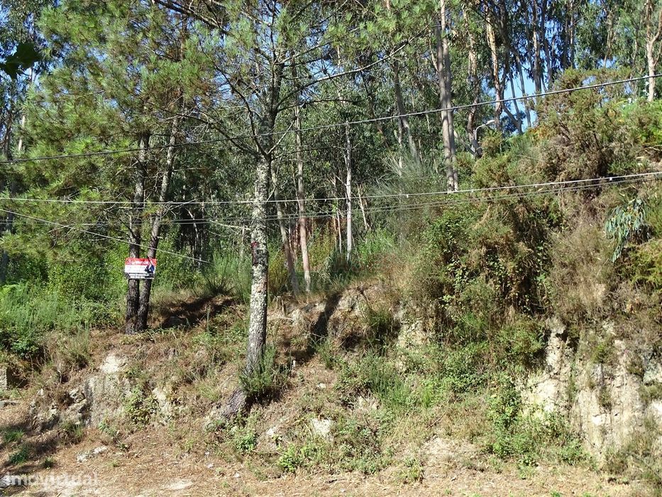 Lote de Terreno  Venda em Estorãos,Fafe — Estorãos, Braga