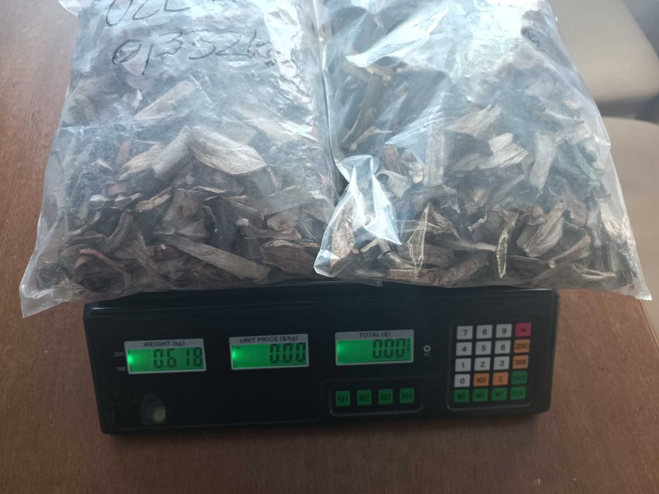 Grzyby Kozak czerwony suszony 0,618 KG SUPER CENA 200zl KGzl 124ZL-zbior 2026R