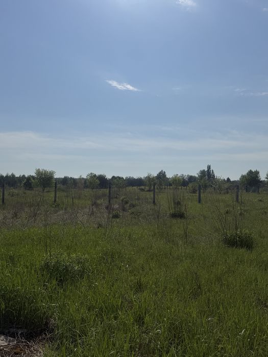 Продається три земельні ділянки біля лісу
