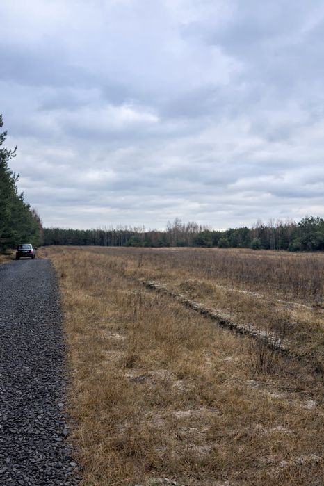 Działki budowlane 1000 m², warunki zabudowy, prąd, las, 50 min od W-wy
