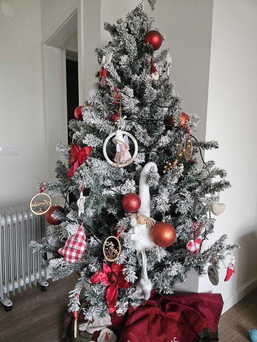 Pinheiro de Natal como novo