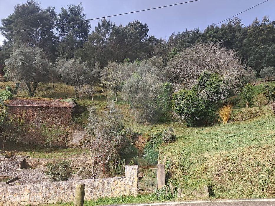Terreno  para venda