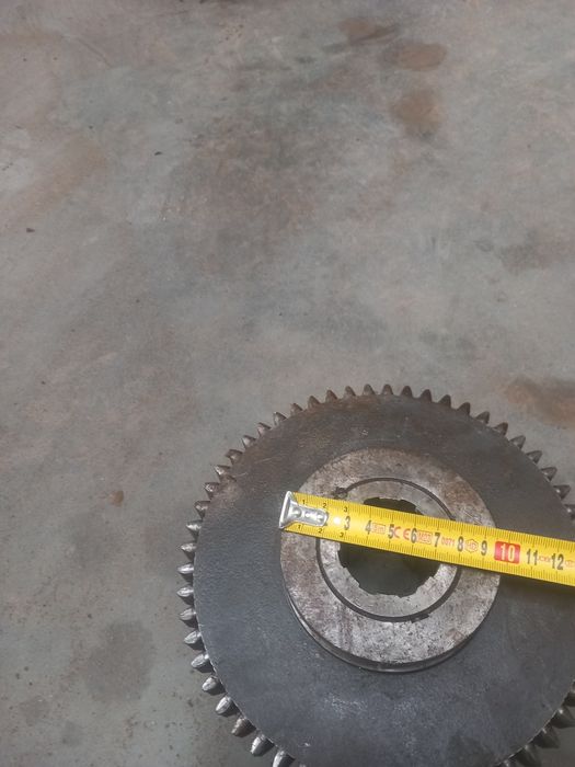 Koło wrzeciennika tuj