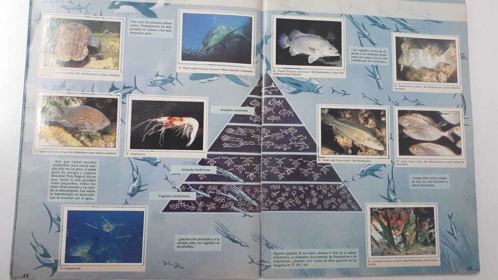 Caderneta de cromos completa O PLANETA AZUL