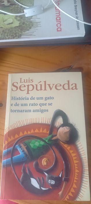 História de um gato e de um rato que se tornaram amigos