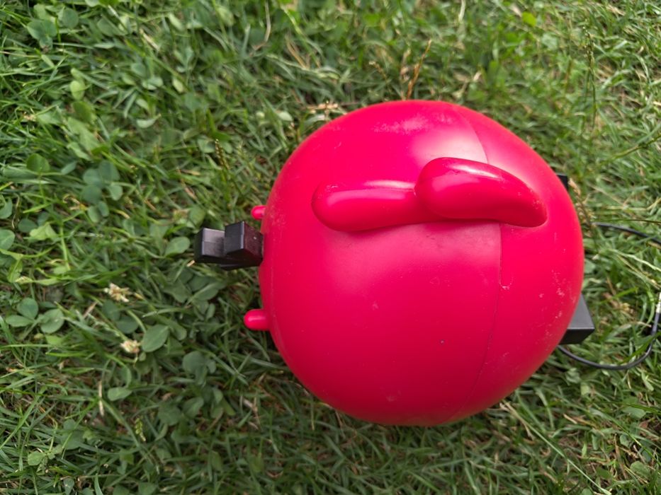 Głośnik angry birds