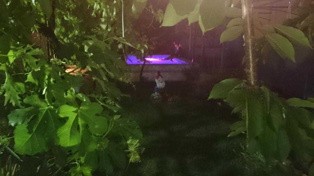 Apartamenty z basenem, Chorwacja, Podstrana, Split, Makarska