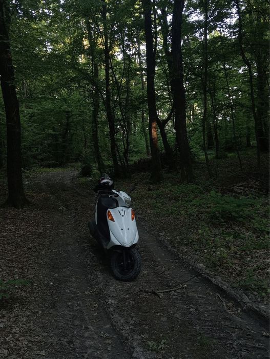 Suzuki adress V125g