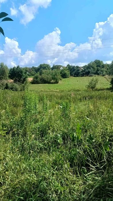 Продам будинок с.Дашківці (9842)