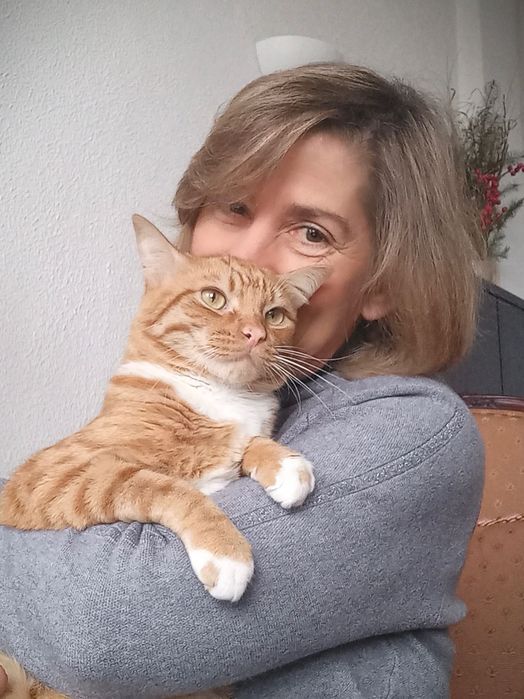 Cat Sitter em Cascais – Cuidados Completos, Medicação e Mimos para o seu Gato