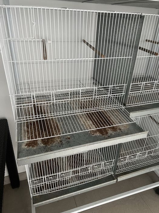 Gaiolas para passaros