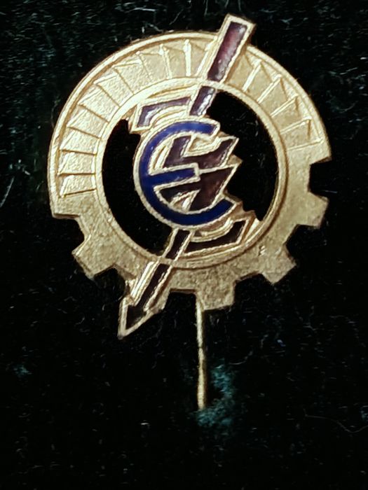 Odznaka Wisła Płock