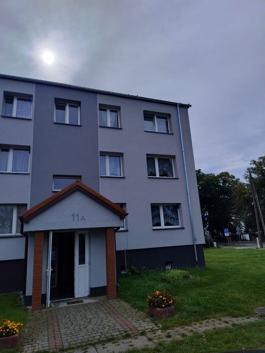 Zdjęcie 2