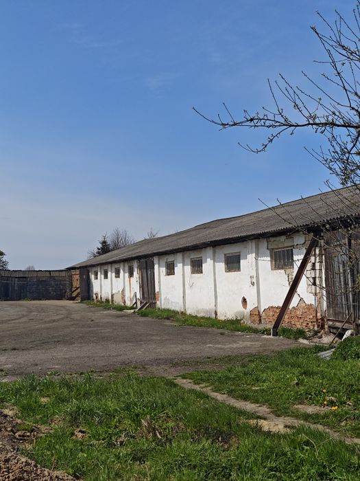 Продаж майнового комплексу та діючого експортно-орієнтованого переробного підприємства