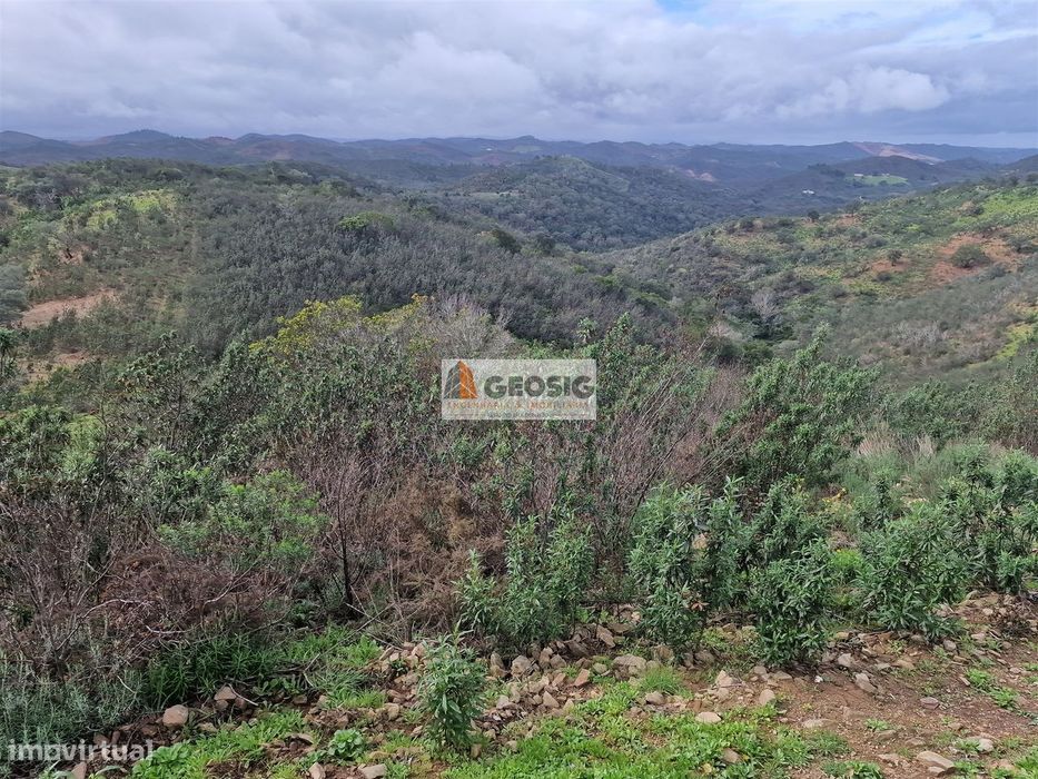 Terreno Rústico  Venda em Santana da Serra,Ourique