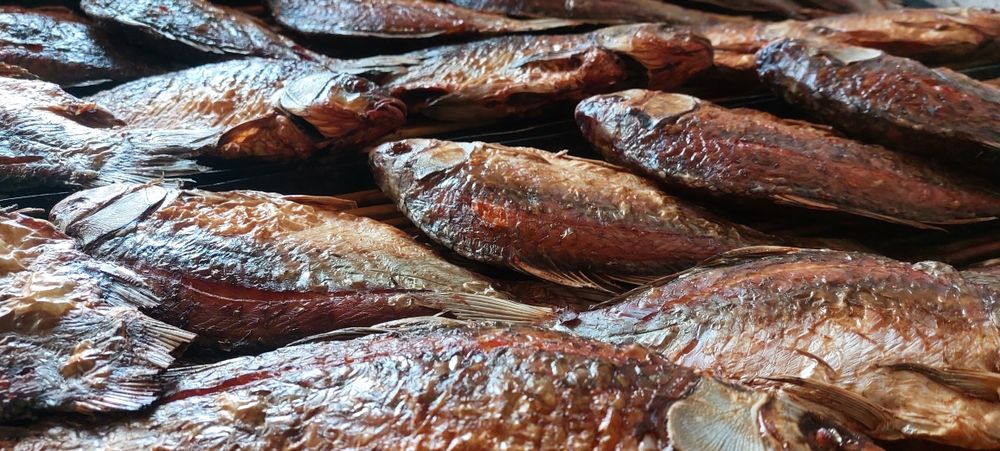 Печена риба на соломі. Риба з печі. Карась м'який.