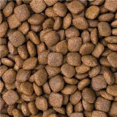 Tropidog Sucha karma dla psa z łososiem 12 kg ** zwierzogrod.in **
