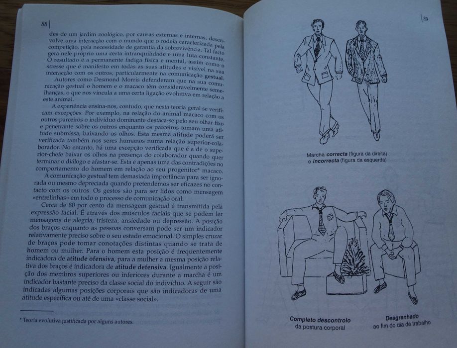 Melhor Comunicação Técnica Mais Desenvolvimento Pessoal