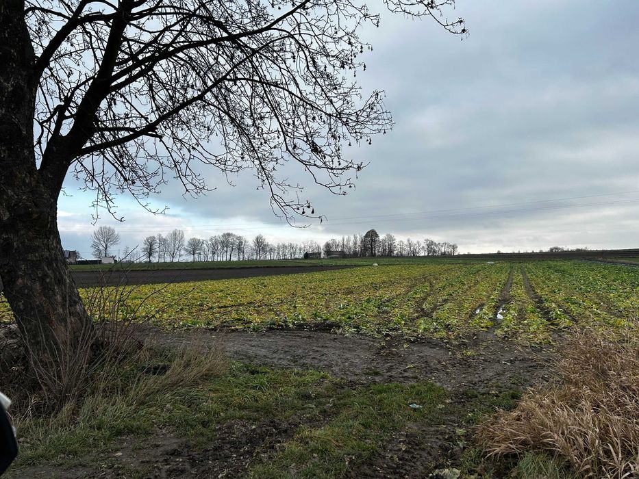 Duża działka bezpośrednio przy drodze powiatowej na sprzedaż!