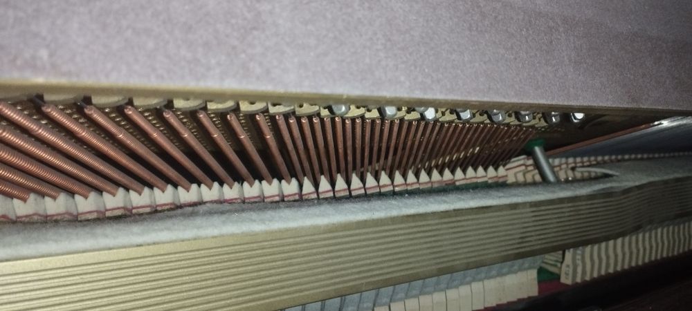 Piano Weinbach Oferta transporte e afinação