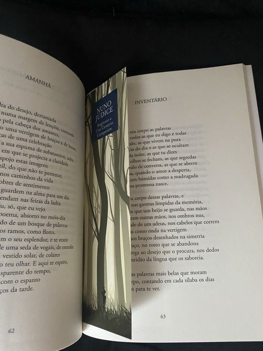 Livro Poesia de Nuno Júdice “Regresso a um Cenário Campestre”