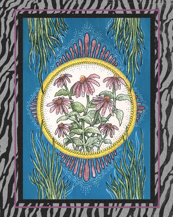 Plakat roślina jeżówka A3 handmade