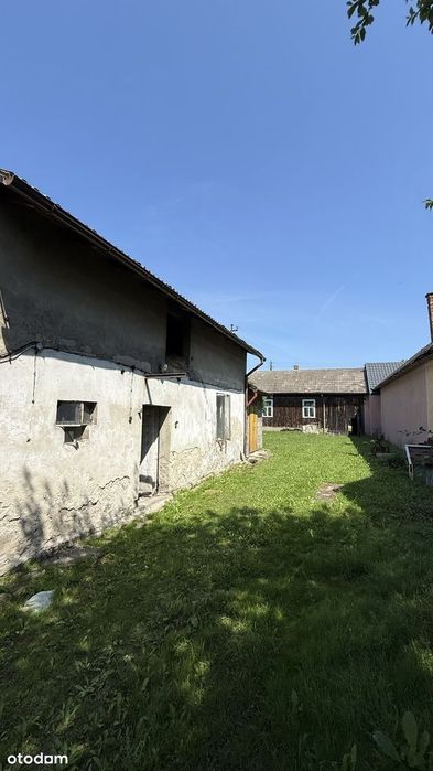 Zdjęcie 7