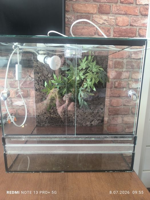 Sprzedam terrarium dla gada pajaka