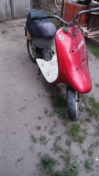 Скутер. Мопед. Honda Pal.