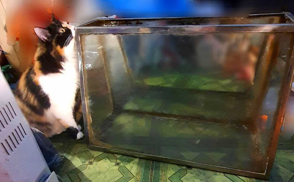 Продаю аквариум с металлическим каркасом 30л.