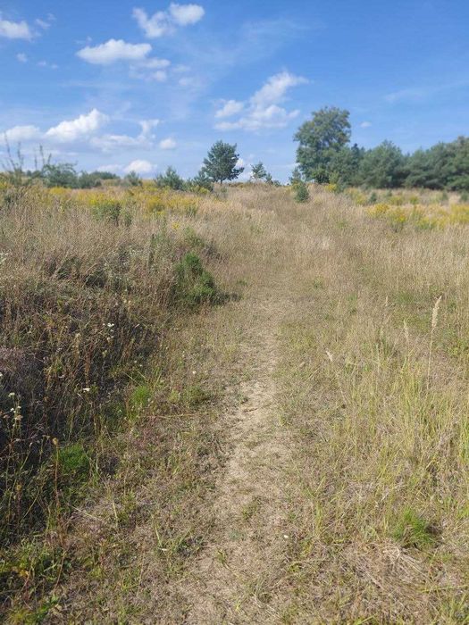 продається земельна ділянка