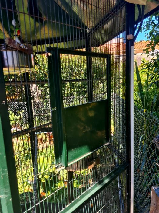 Vendo Gaiola Pássaros