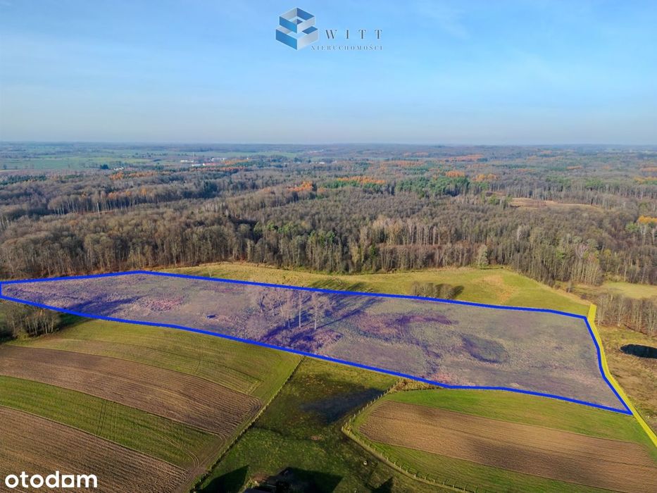 Jędrychówko|5,34 ha|warunki zabudowy|rzeka i las