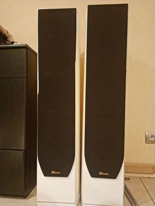Davis Acoustics Stentaure LE – para kolumn | białe | doskonałe brzmien