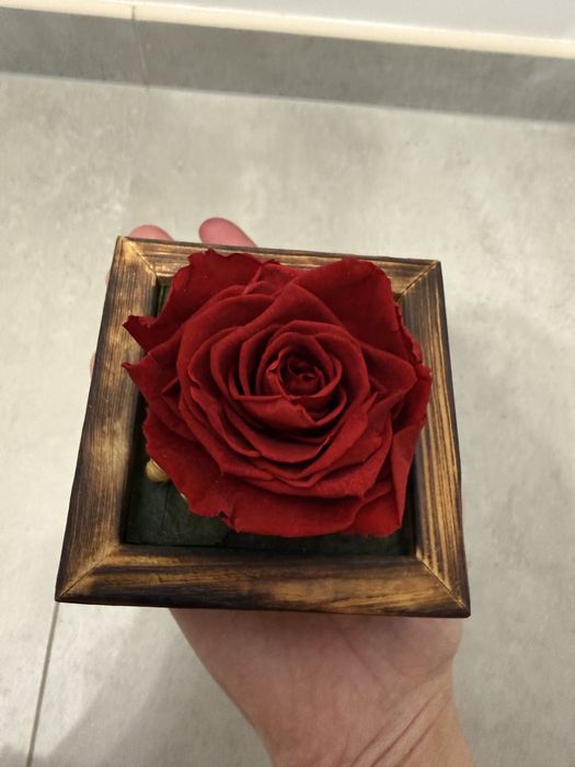 Kompozycja w drewnianej skrzynce - czerwona róża