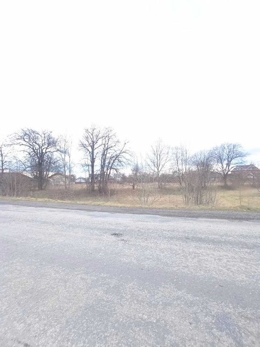 Земельна ділянка попри дорогу.