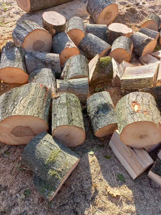 Дрова Чернівці тверда порода