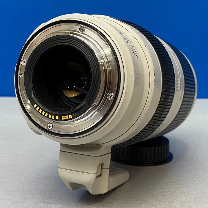 Canon EF 100-400mm f/4.5-5.6 L IS II USM