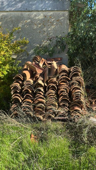 Lote de Telhas Alentejanas