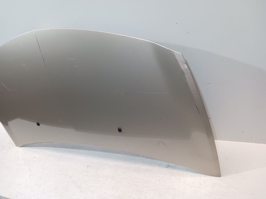 Capot RENAULT Clio III (BR0/1, CR0/1)