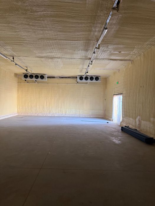 Аренда холодильных складов