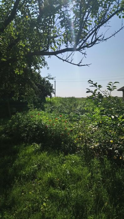 Продаж будинку та земельної ділянки 50 соток, місто Берестечко