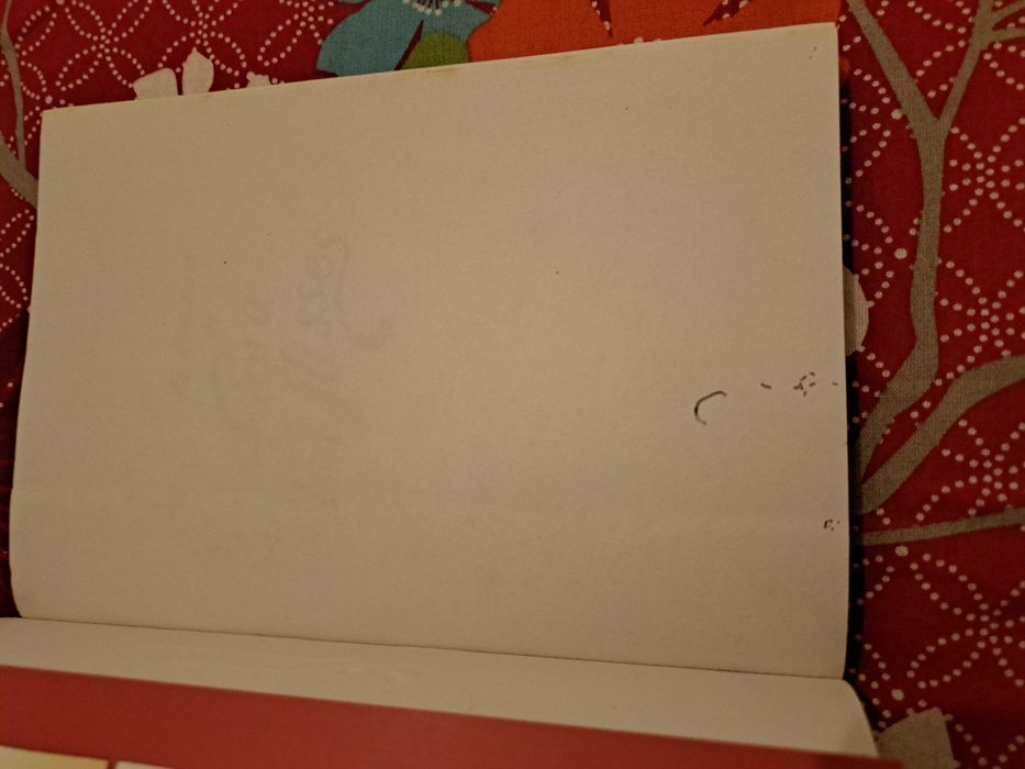 Flora & Ulisses de Kate DiCamillo