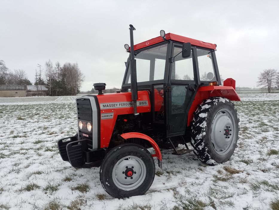 Massey Ferguson 255 Ursus !!!