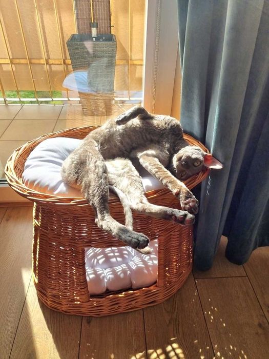 Legowisko dla psa wiklinowe budka z otworem 20×20