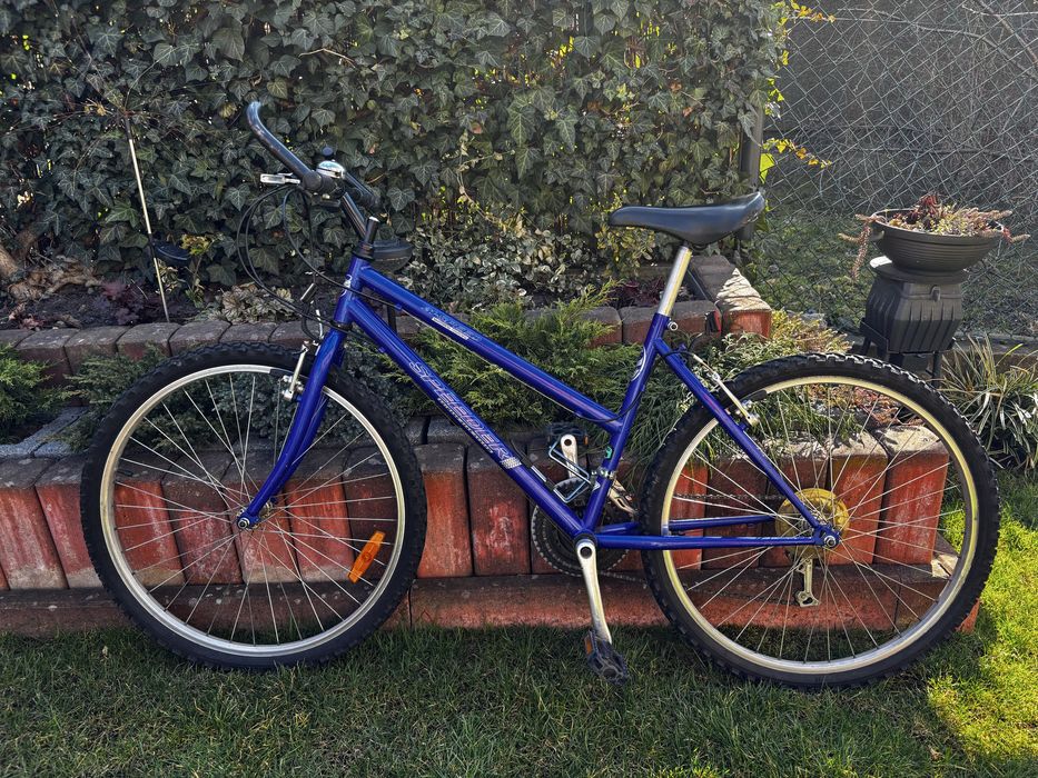 Rower Speeder 21-speed